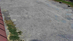 Nástup na běžecké tratě