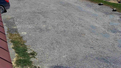 Nástup na běžecké tratě