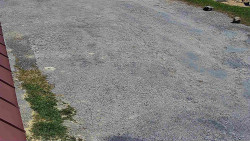 Nástup na běžecké tratě