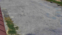 Nástup na běžecké tratě