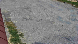 Nástup na běžecké tratě