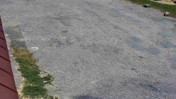 Nástup na běžecké tratě