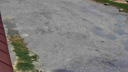 Nástup na běžecké tratě