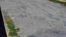 Nástup na běžecké tratě