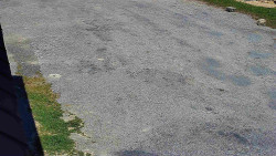 Nástup na běžecké tratě