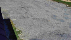 Nástup na běžecké tratě