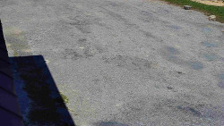 Nástup na běžecké tratě