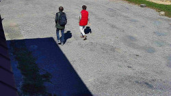 Nástup na běžecké tratě