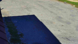 Nástup na běžecké tratě