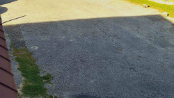 Nástup na běžecké tratě