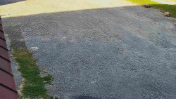 Nástup na běžecké tratě