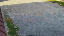 Nástup na běžecké tratě