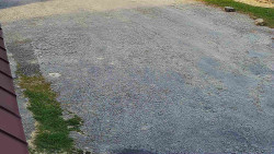 Nástup na běžecké tratě