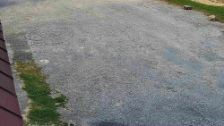 Nástup na běžecké tratě