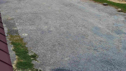 Nástup na běžecké tratě