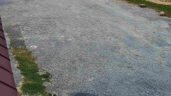 Nástup na běžecké tratě