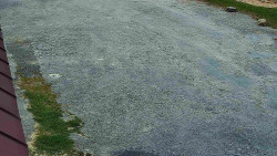 Nástup na běžecké tratě