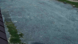 Nástup na běžecké tratě