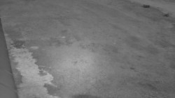 Nástup na běžecké tratě