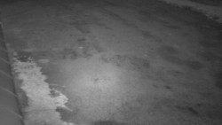 Nástup na běžecké tratě