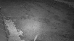 Nástup na běžecké tratě