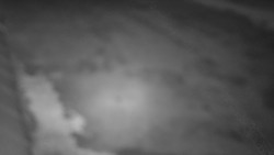 Nástup na běžecké tratě