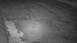 Nástup na běžecké tratě