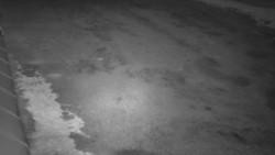 Nástup na běžecké tratě