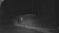 Nástup na běžecké tratě