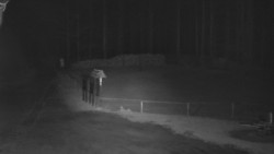 Nástup na běžecké tratě