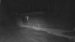 Nástup na běžecké tratě