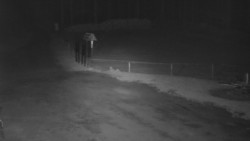 Nástup na běžecké tratě