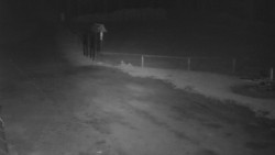 Nástup na běžecké tratě