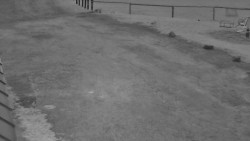 Nástup na běžecké tratě