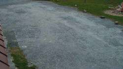 Nástup na běžecké tratě