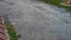 Nástup na běžecké tratě