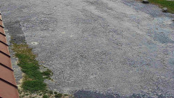 Nástup na běžecké tratě