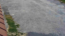 Nástup na běžecké tratě