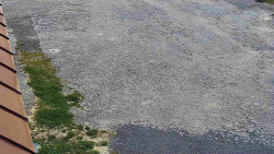 Nástup na běžecké tratě