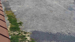 Nástup na běžecké tratě