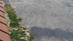 Nástup na běžecké tratě