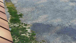 Nástup na běžecké tratě