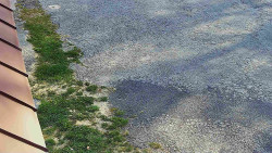 Nástup na běžecké tratě