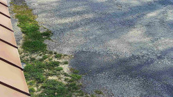 Nástup na běžecké tratě