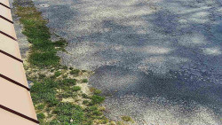 Nástup na běžecké tratě