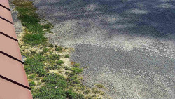 Nástup na běžecké tratě