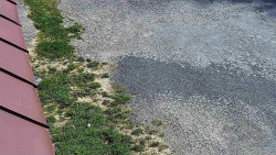 Nástup na běžecké tratě