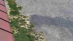 Nástup na běžecké tratě