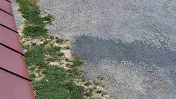 Nástup na běžecké tratě