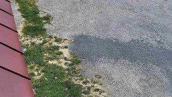 Nástup na běžecké tratě